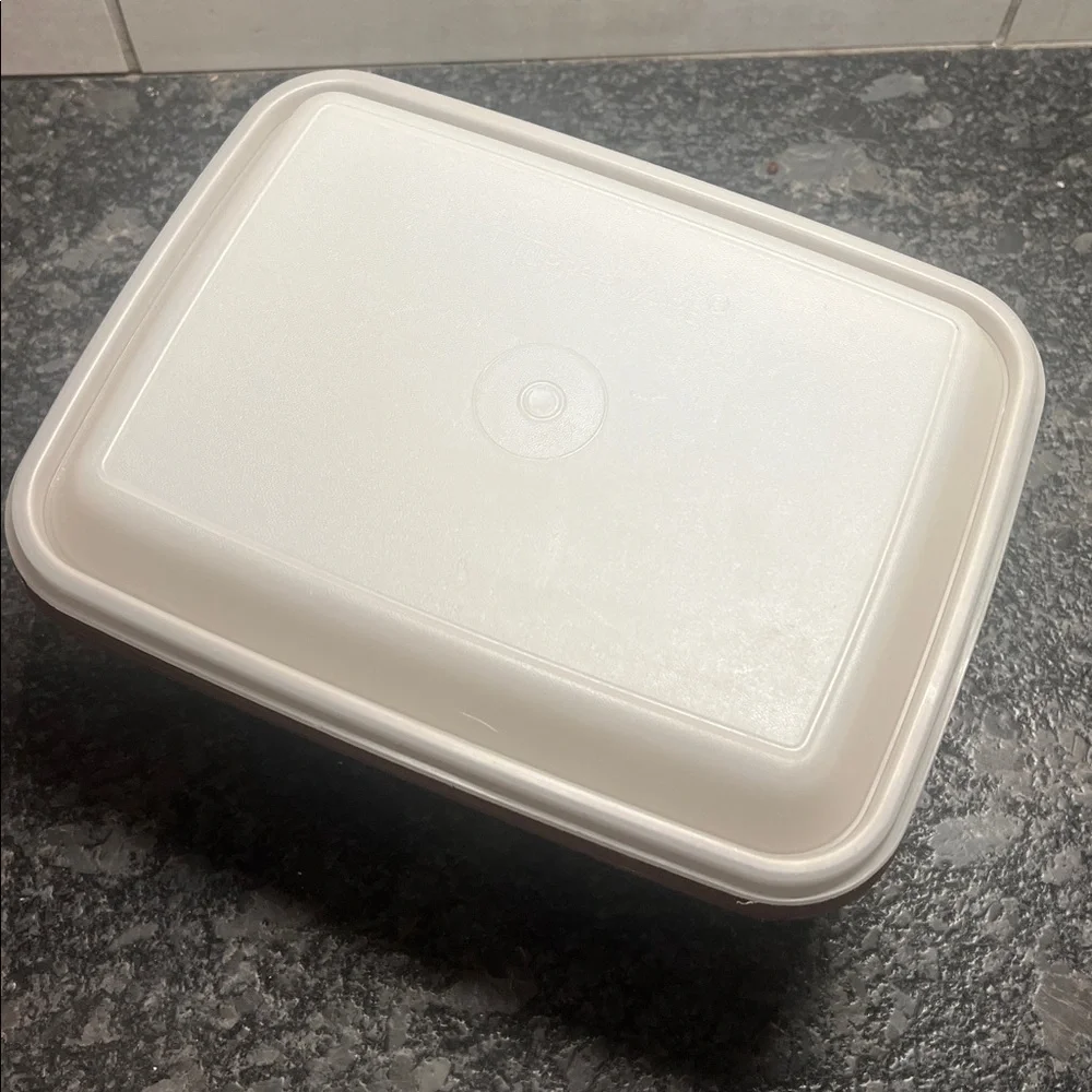 Vintage Tupperware ice cream or frozen dessert container. Storage container